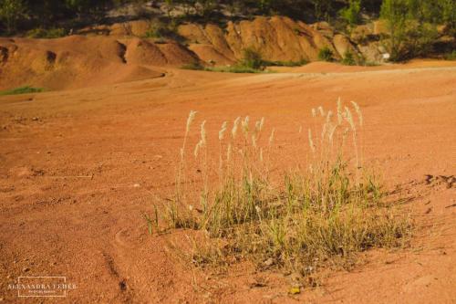 petra zoli 2017 09 02 fb-1