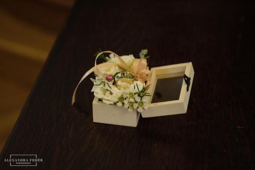 petra zoli 2017 09 02 fb-274