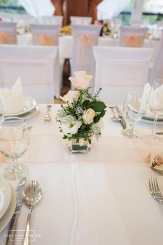 petra zoli 2017 09 02 fb-464